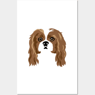 Cavalier King Charles Spaniel Posters and Art